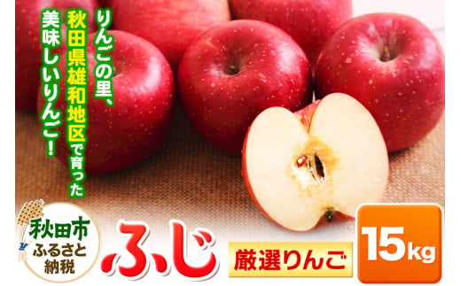 りんごの里・秋田県雄和地区で育った厳選りんご ふじ 15kg 【期間限定】 1480712 - 秋田県秋田市