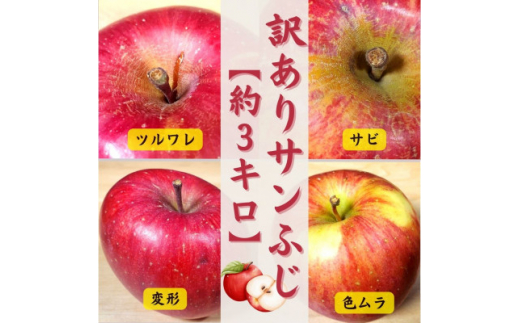 青森りんご サンふじ約3kg[訳あり・家庭用]
