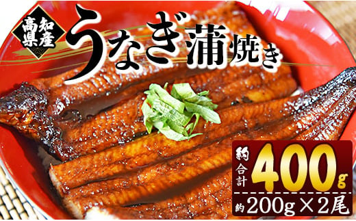 うなぎ蒲焼き 国産 2尾✕約200g 鰻 養殖 高知県産鰻 フジ物産 - 鰻 ウナギ かばやき 土用の丑の日 スタミナ 朝食 夕飯 有頭 おつまみ 丼ぶり fb-0011