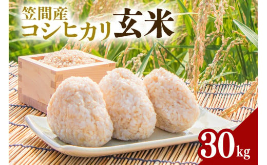 令和6年度 笠間市産 コシヒカリ 30kg 玄米 新米 米 茨城県 1484404 - 茨城県笠間市