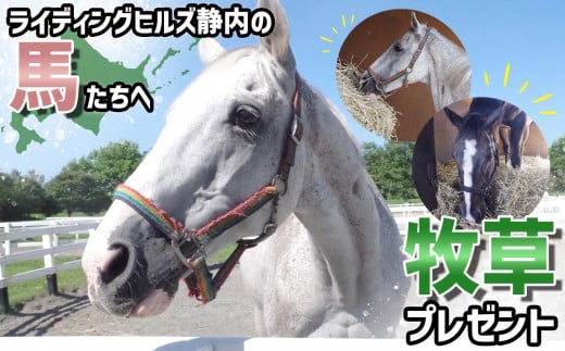 競走馬のふるさと 北海道 新ひだか町 ライディングヒルズ静内 馬 への 牧草ロール プレゼント 静内 うま サラブレッド ポニー 引退馬																				