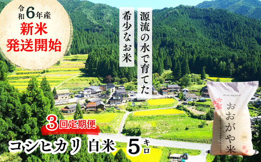 【3回定期便】白米 5kg 令和6年産 コシヒカリ 岡山 「おおがや米」生産組合 G-af-BDCA 1329227 - 岡山県西粟倉村