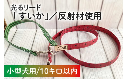 40-13 【小型犬用10キロまで】光るリード「すいか」【散歩 愛犬 夜散歩 手作り 阿見町 茨城県】 701515 - 茨城県阿見町