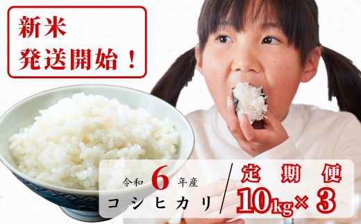 【3回定期便】白米 10kg 令和6年産 コシヒカリ 岡山 あわくら源流米 K-ag-BDCA 1147445 - 岡山県西粟倉村