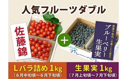 《先行予約 2025年度発送》山形人気フルーツダブル（さくらんぼ佐藤錦1kg &ブルーベリー生果実1kg） FSY-0149 290343 - 山形県山形県庁