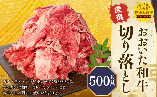 173-1176 おおいた和牛 切り落とし（500g）厳選 国産 和牛 肉 牛肉 冷凍 肉じゃが 牛丼 焼肉 カレー シチュー 炒め物 1480264 - 大分県豊後大野市