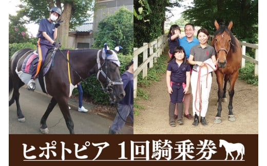 43-01 ヒポトピア １回騎乗券【乗馬 ホースセラピー 馬 ふれあい レッスン 阿見町 茨城県】 700289 - 茨城県阿見町