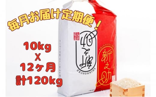 【通年受付】魚沼産新之助　精米10kg（5kgx2袋）全12回 十日町市 十日町 米 1480327 - 新潟県十日町市