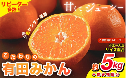 【2024年12月発送予約分】＼光センサー選別／ 【農家直送】【家庭用】こだわりの有田みかん 約5kg＋250g(傷み補償分) 先行予約 有機質肥料100% サイズ混合 【12月発送】みかん ミカン 有田みかん 温州みかん 柑橘 有田 和歌山 ※北海道・沖縄・離島配送不可 【nuk160-2A】 1528542 - 和歌山県すさみ町