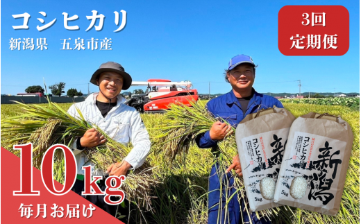 【3回定期便】【令和6年産新米】 なごみ農園のコシヒカリ 10kg (5kg×2袋) 新潟県 五泉市 なごみ農園 1509017 - 新潟県五泉市