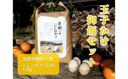 若草有精卵と無農薬こしひかり1.5kg（玄米）の玉子かけ御飯セット 002014 776596 - 広島県三原市