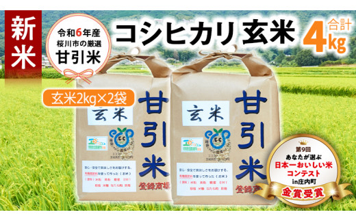 令和6年産 桜川市の 厳選甘引米 コシヒカリ 玄米 4kg 桜川市産 玄米 コシヒカリ こしひかり 米 こめ コメ 茨城県 いばらき 有機肥料 [BA005sa]