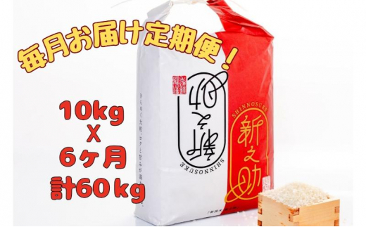 【通年受付】魚沼産新之助　精米10kg（5kgx2袋）全6回 十日町市 十日町 米 1480326 - 新潟県十日町市