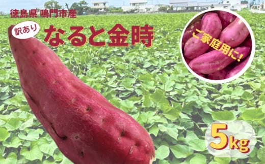 本場・徳島県鳴門市産「ご家庭用（ 訳あり ） なると金時 」約5kg【数量限定】 782877 - 徳島県鳴門市