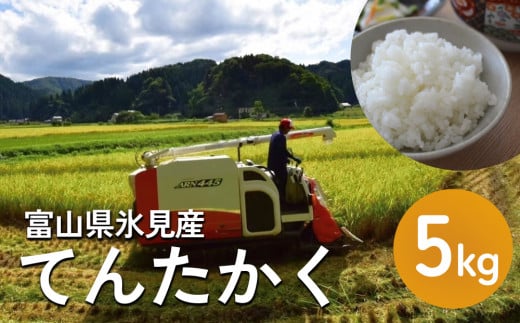 令和6年産 富山県氷見産 てんたかく 5kg 種類が選べる(玄米 3部付き 5部付き 白米 無洗米) 富山県 氷見市 米 てんたかく