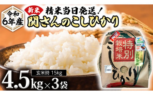 《 特別栽培米 》令和6年産 精米日出荷 関さんの「 こしひかり 」 9kg × 2袋 ( 玄米時 20kg ) 新鮮 コシヒカリ 精米 米 こめ コメ  特別栽培農産物 認定米 新米 - 茨城県牛久市｜ふるさとチョイス - ふるさと納税サイト