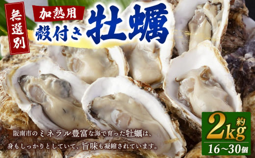 【無選別】加熱用 殻付き牡蠣 約2kg（16～30個）【2024年12月下旬～2025年3月下旬発送】／牡蠣 かき カキ 生ガキ 生牡蠣 加熱用 調理用 1484831 - 大阪府阪南市