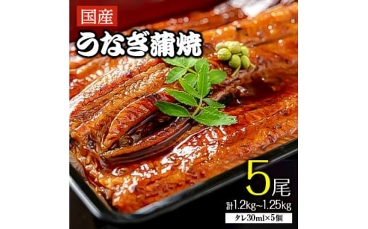 「国産うなぎ蒲焼」5尾(1.2kg～1.25kg)【1228660】 327590 - 大阪府岸和田市