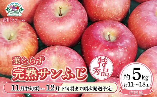 [5657-3418]葉とらず完熟サンふじ特秀品 約5kg (約11～18玉) 《市川ファーム》■2024年発送■※11月中旬頃～12月下旬頃まで順次発送予定 1060821 - 長野県須坂市