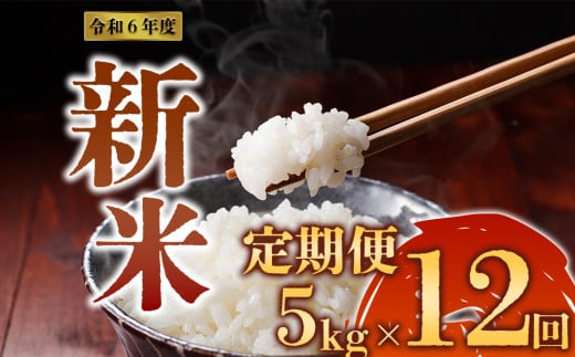 令和6年度 阿蘇の美味しいお米定期便 5kg×12回（毎月） 1482487 - 熊本県阿蘇市