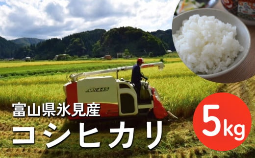 令和6年産 富山県氷見産 コシヒカリ 5kg 種類が選べる(玄米 3部付き 5部付き 白米 無洗米) 富山県 氷見市 米 こしひかり