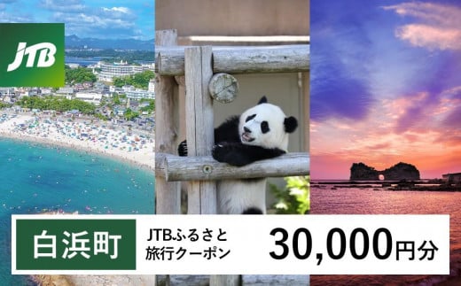 【白浜町、那智勝浦町、上富田町】JTBふるさと旅行クーポン（Eメール発行）（30,000円分） 1480351 - 和歌山県白浜町