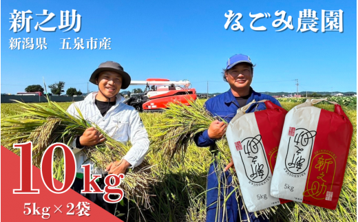 【12/24決済分まで年内配送】 【令和6年産新米】 なごみ農園の新之助 10kg (5kg×2袋) 新潟県 五泉市 なごみ農園 1509015 - 新潟県五泉市