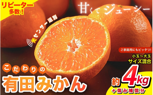 【2024年12月発送予約分】＼光センサー選別／ 【農家直送】【家庭用】こだわりの有田みかん 約4kg＋250g(傷み補償分) 先行予約 有機質肥料100% サイズ混合 【12月発送】みかん ミカン 温州みかん 柑橘 有田 和歌山 ※北海道・沖縄・離島配送不可 【nuk148-2B】 1527343 - 和歌山県すさみ町