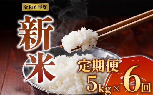 令和6年度　阿蘇の美味しいお米定期便　5kg×6回（隔月）  1482486 - 熊本県阿蘇市