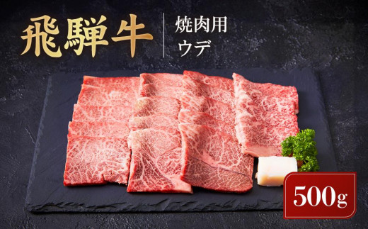 飛騨牛 焼肉用 ウデ 500g | 黒毛和牛 ブランド和牛 BBQ 肉料理 旨味 高山米穀協業組合