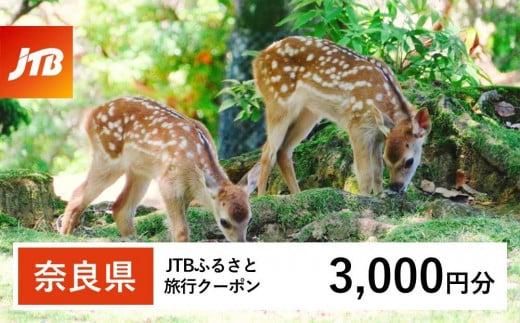 [奈良県]JTBふるさと旅行クーポン(Eメール発行)(3,000円分)