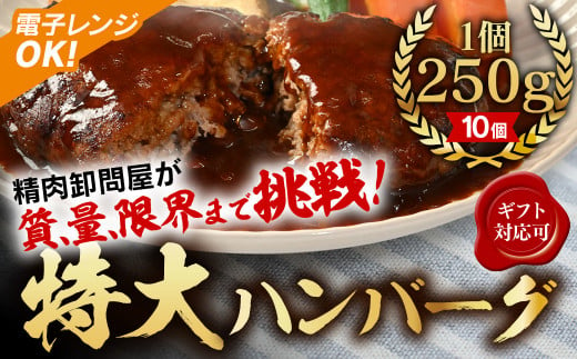 【250ｇ×10個】精肉卸問屋が自信をもってお届けする特大ハンバーグ（デミグラスソース）・T098 1486991 - 愛知県西尾市