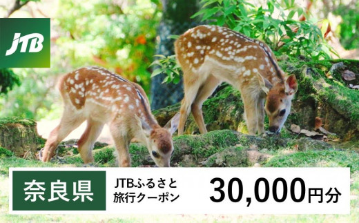 【奈良県】JTBふるさと旅行クーポン（Eメール発行）（30,000円分） 1529656 - 奈良県奈良県庁