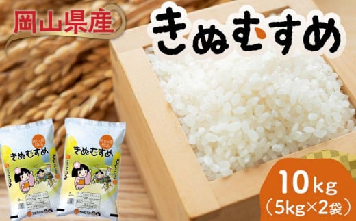 岡山県産きぬむすめ 10kg(5kg×2袋) きぬむすめ 米 お米 ブランド米 銘柄米 備蓄 日本米 コメ ごはん ご飯 食品