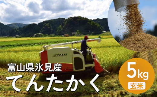 令和6年産 富山県氷見産 てんたかく 5kg 玄米 | お米 富山 氷見 米 さっぱり 数量限定 農家直送