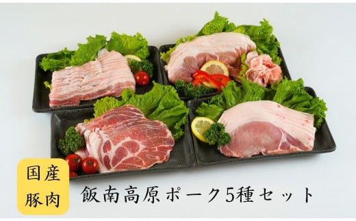 飯南高原ポークお試し5種セット [ 国産 島根県産 豚 肉 鍋 バーベキュー BBQ 冷凍 個包装 小分け 真空パック 豚ロース 豚ばら 豚肩ロース 豚もも 豚こま 切落し スライス 便利 人気 セット 詰め合わせ 1kg]A-75