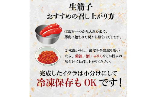 令和6年産 生筋子 1kg【 いくら 鮭 生いくら 海鮮 鮮魚 朝どれ 朝採れ とれたて 国産 新潟県産 お正月 おせち 年末 年始 贈答 予約 いくら  はらこ 筋子 J41 】 - 新潟県新発田市｜ふるさとチョイス - ふるさと納税サイト