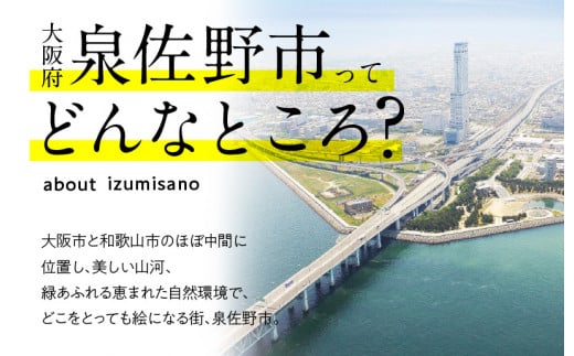 ファッション自転車 Raffinato 26型 6段 オート BAA クリームベージュ - 大阪府泉佐野市｜ふるさとチョイス - ふるさと納税サイト