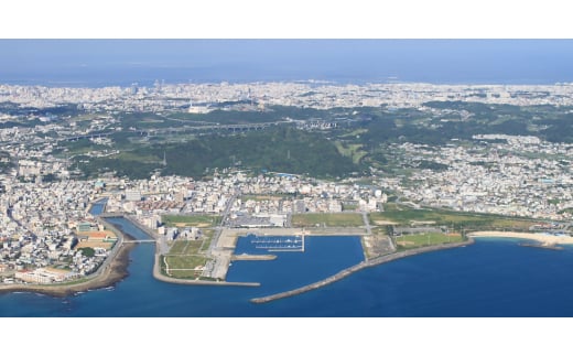 沖縄県与那原町のふるさと納税 本ソーキそば(太麺・大盛り5食セット)沖縄そば【1471013】