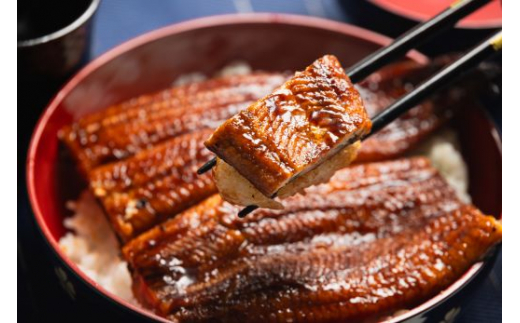 うなぎ蒲焼き 国産 2尾✕約200g 鰻 養殖 高知県産鰻 フジ物産 - 鰻 ウナギ かばやき 土用の丑の日 スタミナ 朝食 夕飯 有頭 おつまみ  丼ぶり fb-0011 - 高知県香南市｜ふるさとチョイス - ふるさと納税サイト