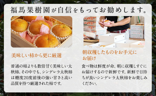 シンデレラ 太秋柿 木箱入り 大玉 3玉 約1kg