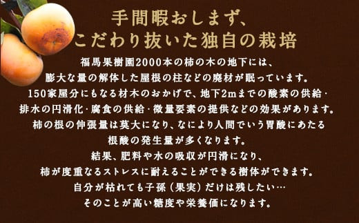 シンデレラ 太秋柿 木箱入り 大玉 3玉 約1kg