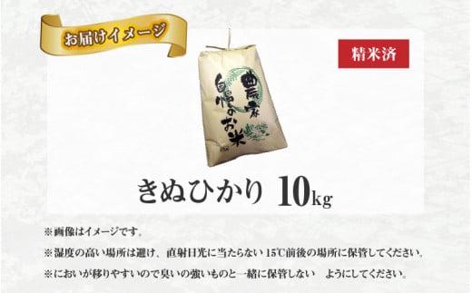 兵庫県佐用町で育てたきぬひかり 10kg 【 兵庫県産 きぬひかり 減農薬米 精米 お米 特Aランク 】 - 兵庫県｜ふるさとチョイス - ふるさと納税 サイト