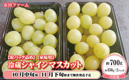 数量限定[粒パック詰め][家庭用]冷蔵シャインマスカット 約700g (約350g×2パック)[市川ファーム] 2024年発送 ※10月中旬頃〜11月下旬頃まで順次発送予定