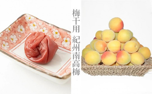 ［梅干・梅酒用］（2LまたはL－10Kg）熟南高梅＜2026年6月上旬～7月7日発送予定＞フルーツ 果物 くだもの 食品 人気 おすすめ 送料無料［ART03］ 546976 - 和歌山県九度山町