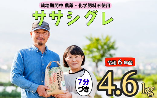 令和６年産 【栽培期間中 農薬・化学肥料不使用】ササシグレ(７分づき)4.6kg真空包装(6-50A) 1484739 - 長野県飯山市