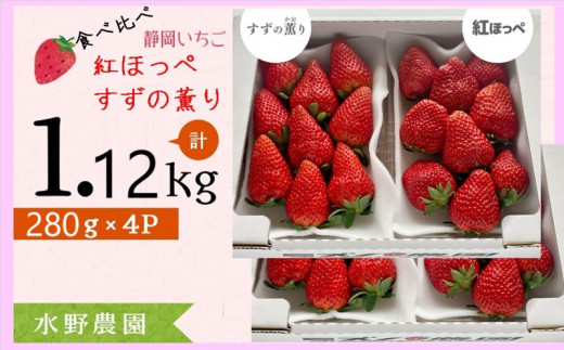 6278 いちご 掛川産 完熟いちご 紅ほっぺ・すず薫り食べ比べ 280g×各2P 計4P 1.12kg (5〜15粒入×4P) ①1月 ②2月の中から発送時期をお選び下さい 水野農園 ( ミズノ農園 )