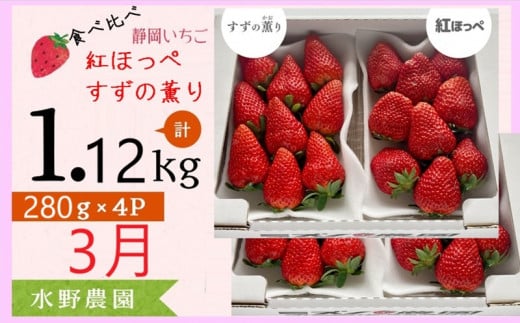 ６２７９　①3月からの発送 いちご 掛川産 完熟いちご 紅ほっぺ・すずの薫り280g×各２P 計４P 1.2ｋｇ (5～15粒入×4P)  ①3月 ②4月 ③5月 の中から発送時期をお選び下さい  水野農園   ( ミズノ農園 ） 1483237 - 静岡県掛川市