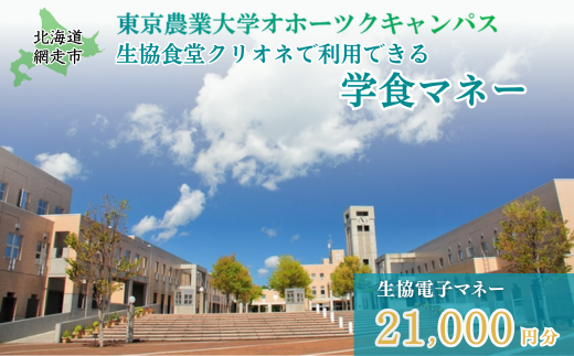 東京農業大学オホーツクキャンパス生協食堂クリオネで利用できる「学食マネー」 21,000円分 【 ふるさと納税 人気 おすすめ ランキング 学食 大学 東京農業大学 東農大 東京農業 オホーツク キャンパス クーポン 券 学生 北海道 網走市 】 ABBF005