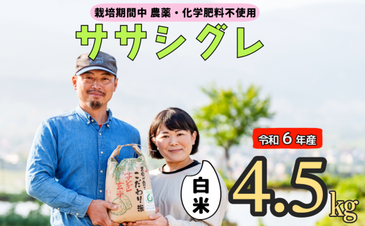 令和６年産 【栽培期間中 農薬・化学肥料不使用】ササシグレ(白米)4.5kg真空包装（6-49A） 1484738 - 長野県飯山市